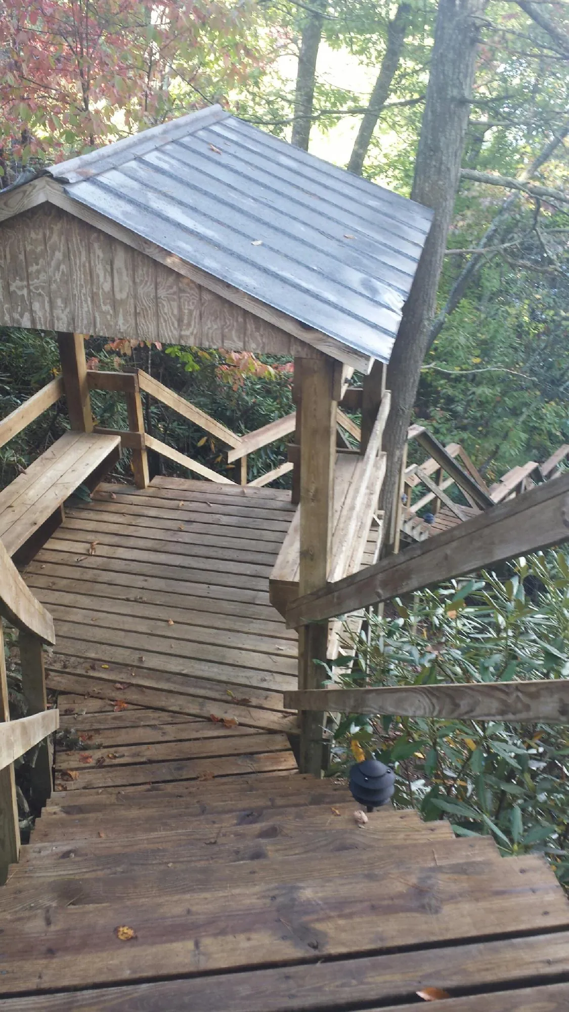 Metal roofed shelter over wooden steps on a wooded walkway — Skylight Repair & Installation work by our crew in Lake Alfred