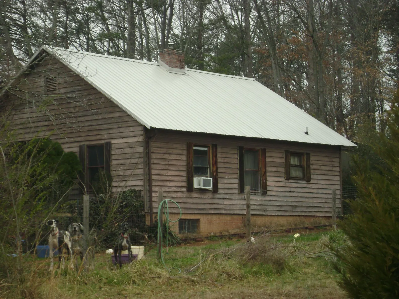 White metal roof on an old wood sided farmhouse, from a Asphalt Shingle Roof Repair job in Lake Alfred